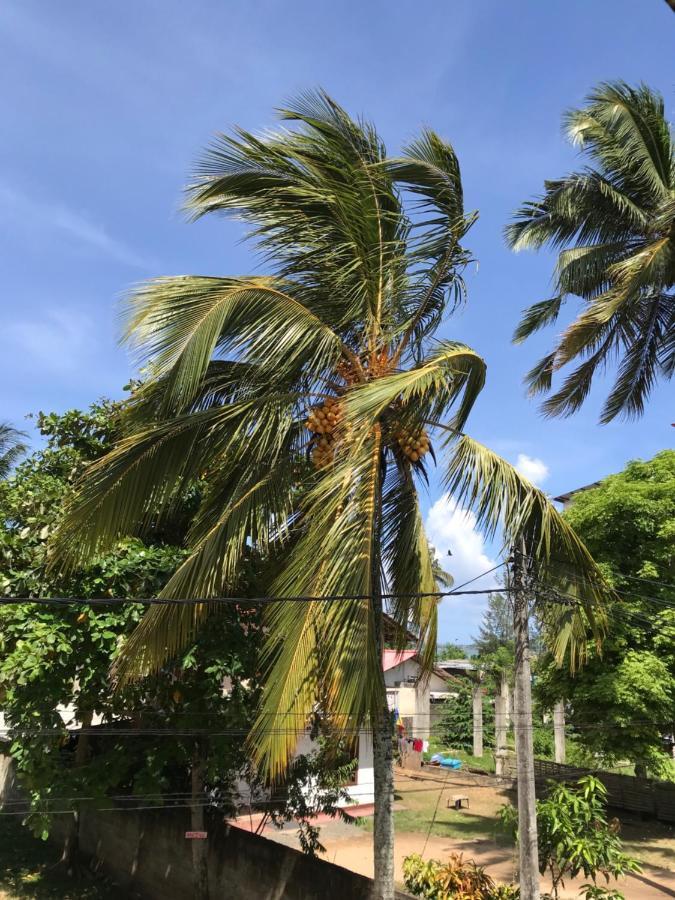Wh Beach Resort Weligama Dış mekan fotoğraf